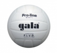 Мяч волейб. матчевый  GALA Pro-Line Competition
