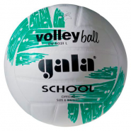 Мяч волейбольный тренировочный  GALA School