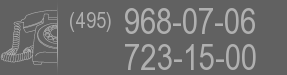 (495) 968-07-06