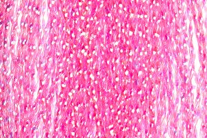 Материал HIGASHI Cristal Flash CF-65 Pink