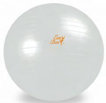 Мяч гимнастический Easy Body 1765EG-IB 55 см 17046