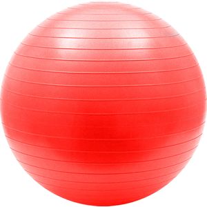 Мяч гимнастический Anti-Burst 45 см Sportex FBA-55-2 (красный) 10018800
