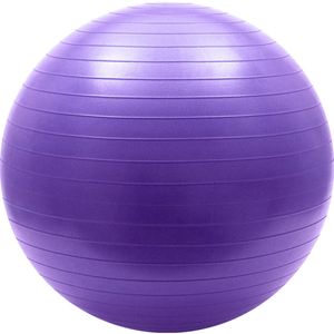 Мяч гимнастический Anti-Burst 45 см Sportex FBA-55-4 (фиолетовый) 10018802