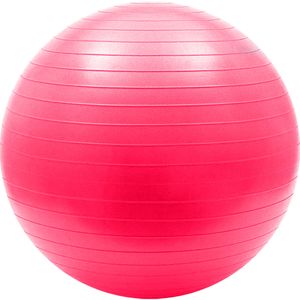 Мяч гимнастический Anti-Burst 45 см Sportex FBA-55-7 (розовый) 10018805
