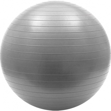 Мяч гимнастический Sportex Anti-Burst 55 см (серый) FBA-65-6 10018811