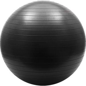 Мяч гимнастический Anti-Burst 45 см Sportex FBA-45-8 (черный) 10018845