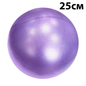Мяч для пилатеса 25 см Getsport (фиолетовый) E39136 10020893