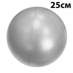 Мяч для пилатеса 25 см Getsport (серебро) E39139 10020896