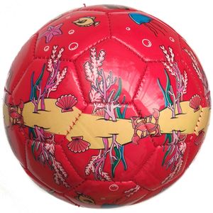 Мяч футбольный детский Аквариум (красный) C28706-4 размер 2 10020999