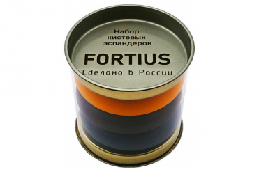 Эспандеры кистевые Fortius набор из 3-х шт., (40/50/60) кг. (туба) 10022298