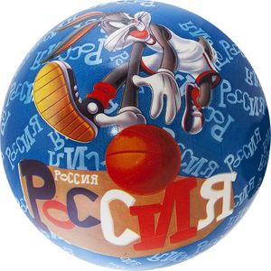 Мяч детский PALMON Looney Tunes диаметр 23 см WB-LT-014