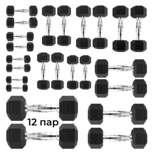 Гантельный ряд DFC от 1 кг до 15 кг DFC DB001-1_15