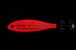 Кальмарница HIGASHI Tanku 75 #14