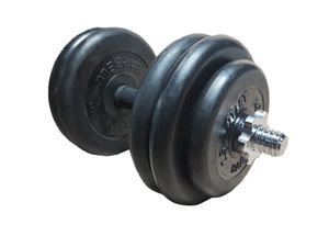 Гантель разборная Атлет 27,2 кг d 31