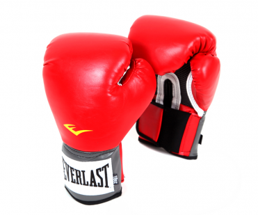 Перчатки тренировочные Everlast PU Pro Style Anti-MB 10oz красные 2110U