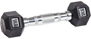 Гантель неразборная гексагональная VF-H010 (1 кг)