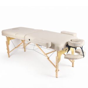 Массажный стол DFC PROFI3 TS312H складной