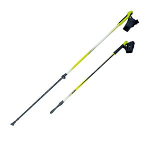 Палки для скандинавской ходьбы NWS-118 RGX NWS-118