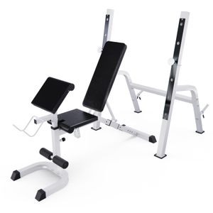 Скамья со стойками под штангу DFC GORILLA белая, с партой для бицепса DFC 201321W