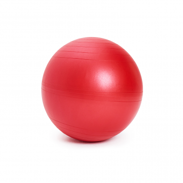 Гимнастический мяч SISSEL Securemax Exercise Ball диаметр 55 см, красный SISSEL SI\160.011\00-00-00