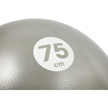 Гимнастический мяч Reebok 75 см RAB-40017BK