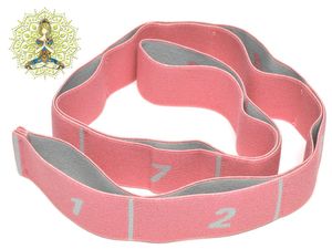 Эспандер-лента эластичная с петлями WX-F9  (розовый) GETSPORT 31788