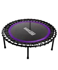 УЦЕНКА Батут BASEFIT TR-501 101 см, фиолетовый BASEFIT ЦБ-00003650