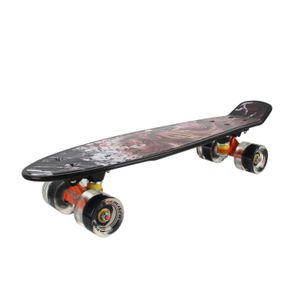 Мини-круизер PNB-07 (22