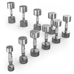 Ряд гантелей круглых UNIX Fit хромированных от 1 до 10 кг DBRND1/10PCE