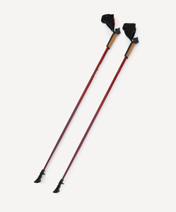 Палки для скандинавской ходьбы Travel Forest, 106 см, цельные, красный