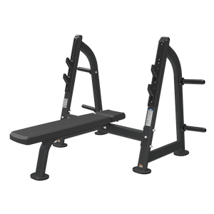 BRONZE GYM BR-1012 Скамья для жима горизонтальная Bronze Gym BG-BR-1012_MBB