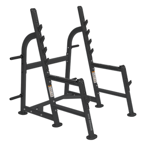 Рама для приседов профессиональная BRONZE GYM BR-1015