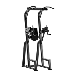 Стойка турник/брусья/пресс BRONZE GYM RAVE RE60 Bronze Gym BGRE60