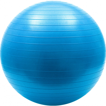 Мяч гимнастический Sportex Anti-Burst 55 см FBA-65-5 (синий) 10018810