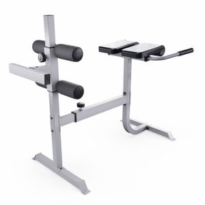 Гиперэкстензия / римский стул DFC CAP, серебряный DFC FM-CS709