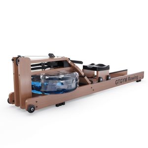 Гребной тренажер DFC GTGYM Frank DFC Frank