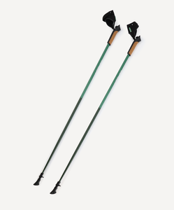 Палки для скандинавской ходьбы Travel Forest, 115 см, цельные, зеленый