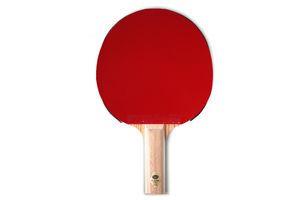 Ракетка Gambler ZEBRAWOOD CLASSIC VOLT M (прямая) GAMBLER GRC-2