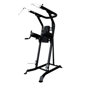 Поднятие коленей/брусья/турник Inspire VKR (VKR1.2B) INSPIRE VKR