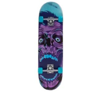 Скейтборд Larsen CITY 2 р31