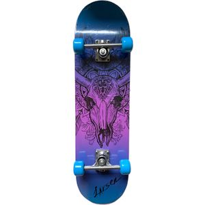 Скейтборд Larsen CITY 5 р31