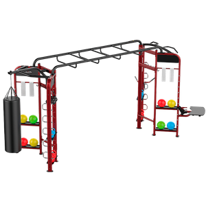 Комплекс для функциональнального тренинга Smith DH013E SMITH DH013E