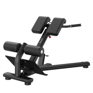 SMITH Гиперэкстензия (разгибание спины) Smith RE6010 RE6010