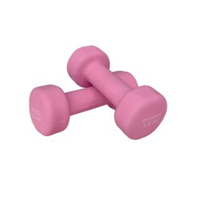 Гантель неопреновая BF-DN01P-X2 (2шт) (1,0 кг violet)