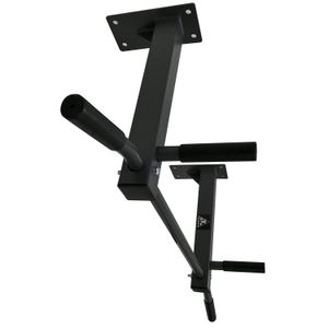 Турник потолочный DFC Homegym G486 DFC G486