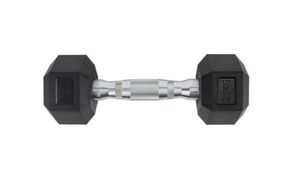 Гантель неразборная гексагональная VF-H025 (2,5 кг)