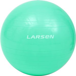 Мяч гимнастический с насосом Larsen HG-1 бирюзовый 55 см Larsen 371178