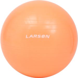 Мяч гимнастический с насосом Larsen HG-2 персиковый 65 см Larsen 371180