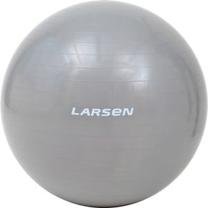 Мяч гимнастический с насосом Larsen HG-3 серебристый 75 см Larsen 371182
