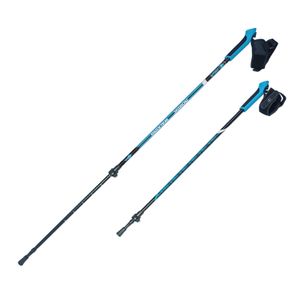 Палки для скандинавской ходьбы NWS-116 RGX NWS-116